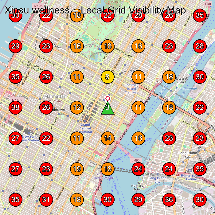 Xinsu wellness GeoGrid visibility map for Massage Spa in Long Island City